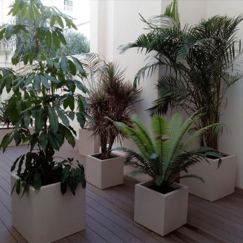 composite polyester France jardinière pour les plantes
