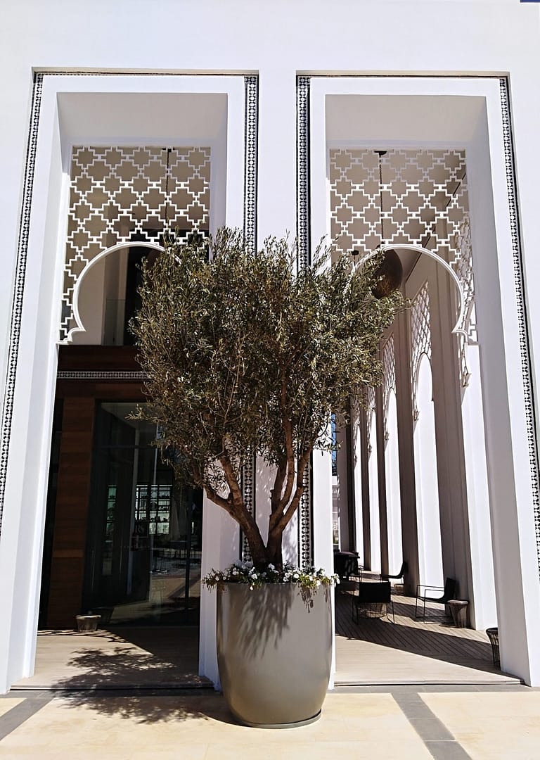 Hotel Fairmont Rabat